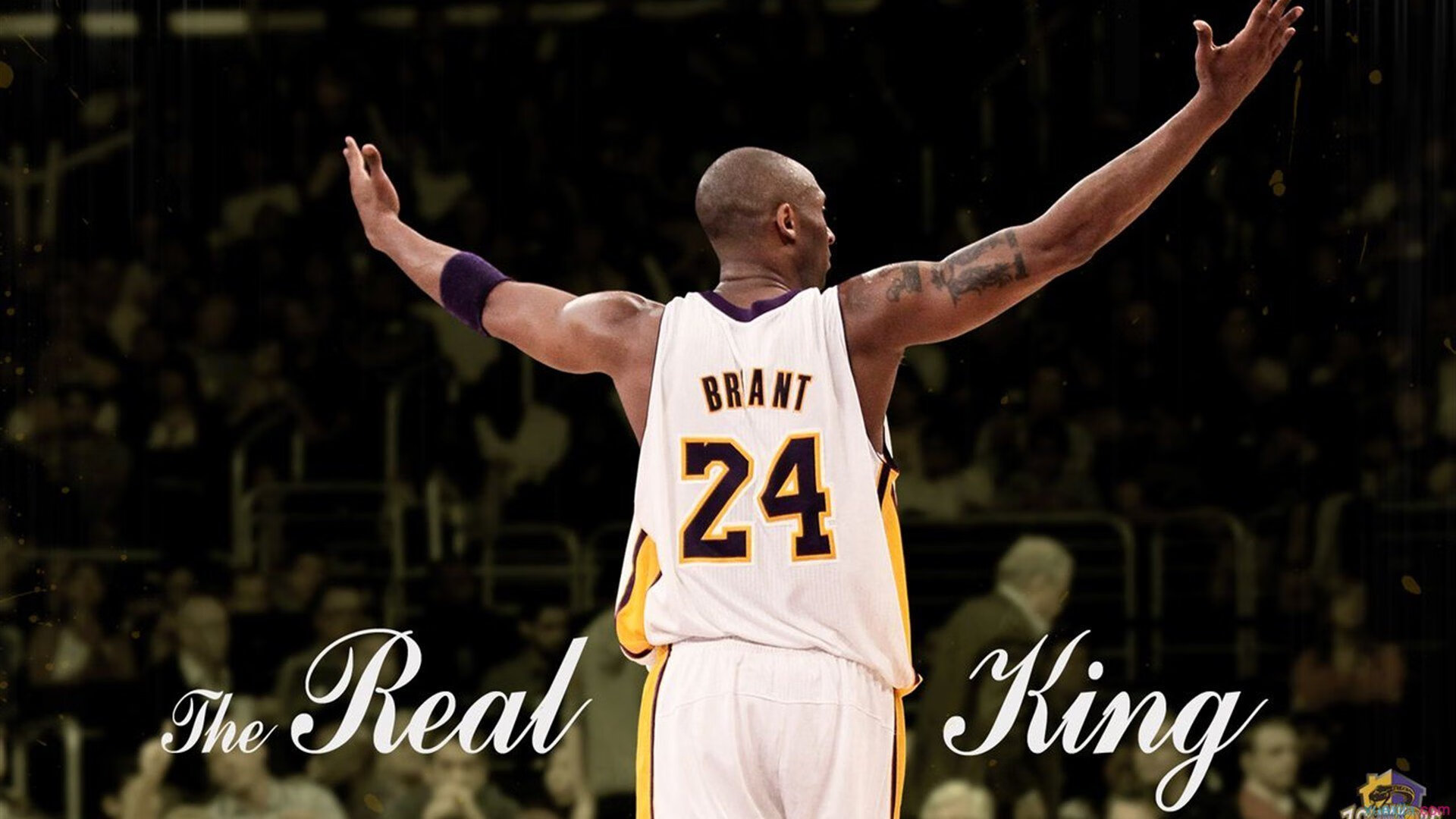 职业球员场下形象管理缺位影响公众认同,球员形象照